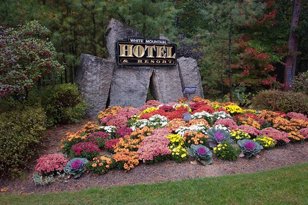 White Mountain Hotel And Resort Норт-Конвей Экстерьер фото